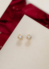 Cargar imagen en el visor de la galería, Topos Dynasty cristal