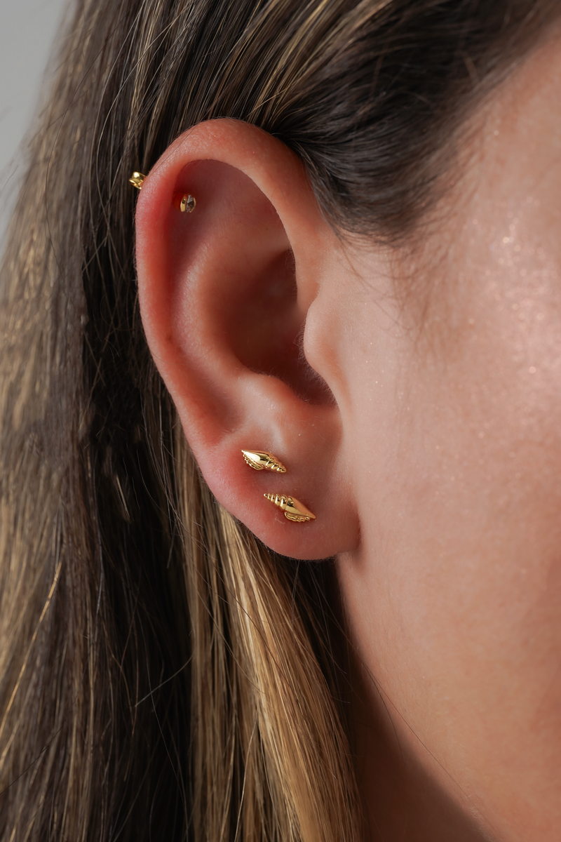 Topos Shell