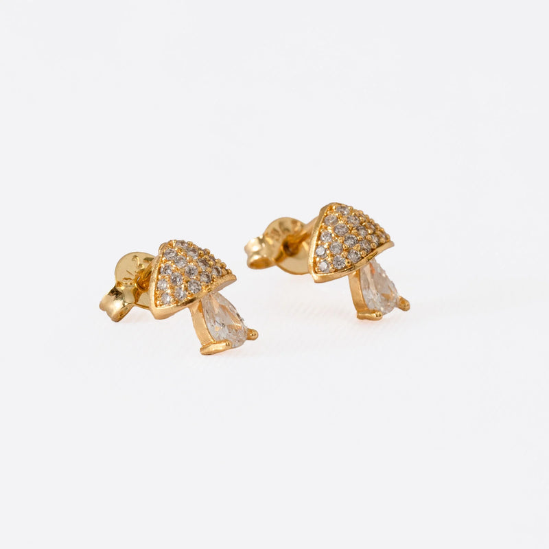 Aretes mushroom