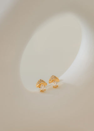 Aretes mushroom