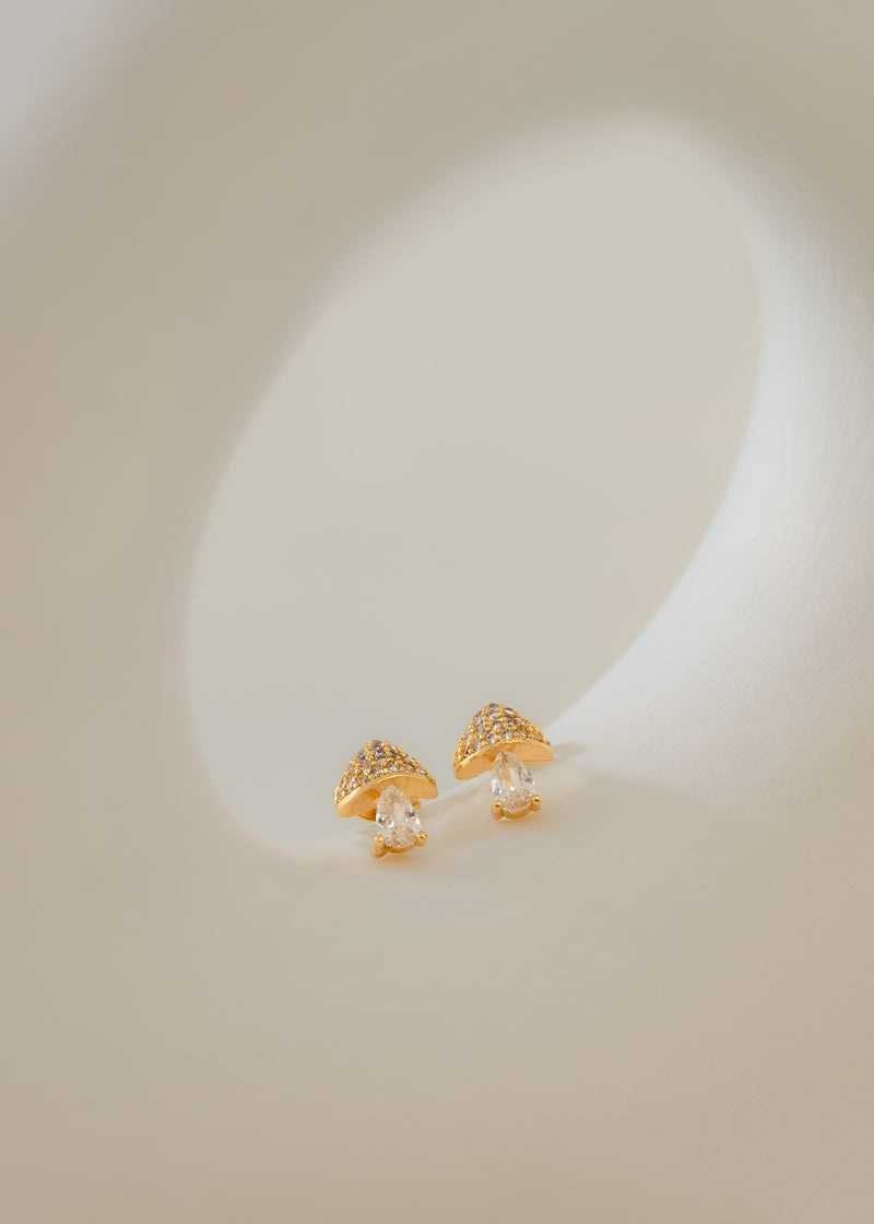 Aretes mushroom